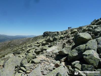 La Mira - Los Galayos (Gredos);fruto del tejo sitios visitar madrid senderos club